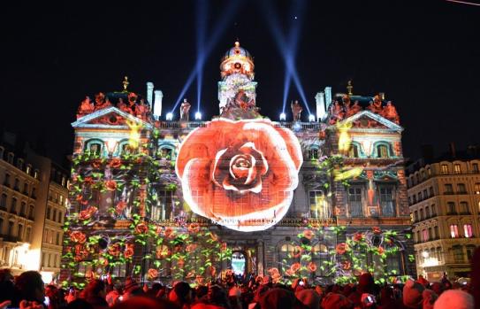 lyon-lights-rose